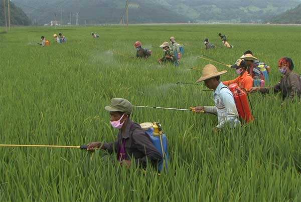 固體廢物 有機磷類和擬除蟲菊酯類等 47 種農藥的測定 氣相色譜-質譜法