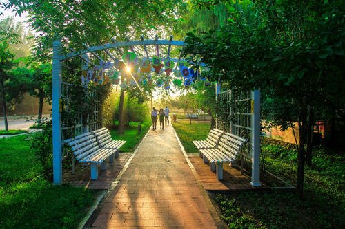 環(huán)境影響評(píng)價(jià)技術(shù)導(dǎo)則 土壤環(huán)境（試行）