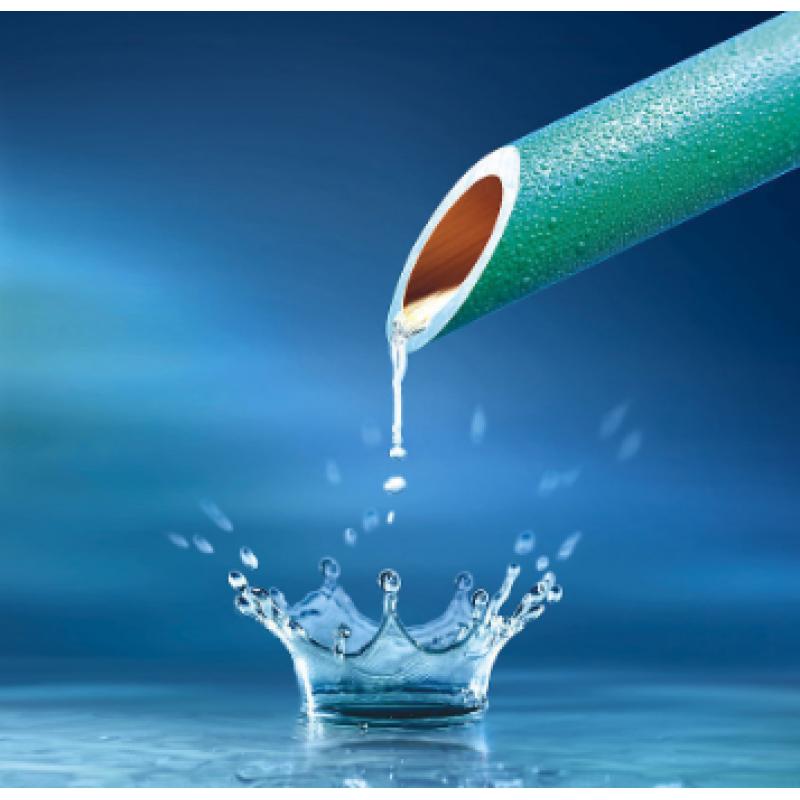 水質(zhì) 氯酸鹽、亞氯酸鹽、溴酸鹽、二氯乙酸和三氯乙酸的測(cè)定 離子色譜法