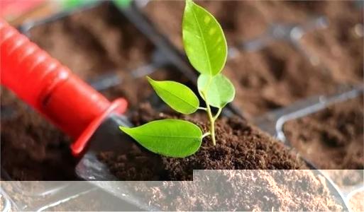 土壤和沉積物 11 種三嗪類農(nóng)藥的測(cè)定 高效液相色譜法